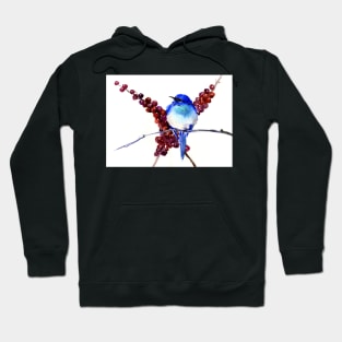 Mountains Bluebird and Berries Hoodie